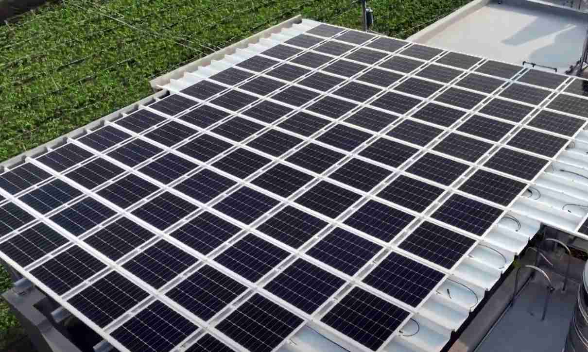 2468BETSunSteel光电浪板升级双玻结构，，以提升机械负载强度及气候耐候度，，，，可广泛运用于多元场域