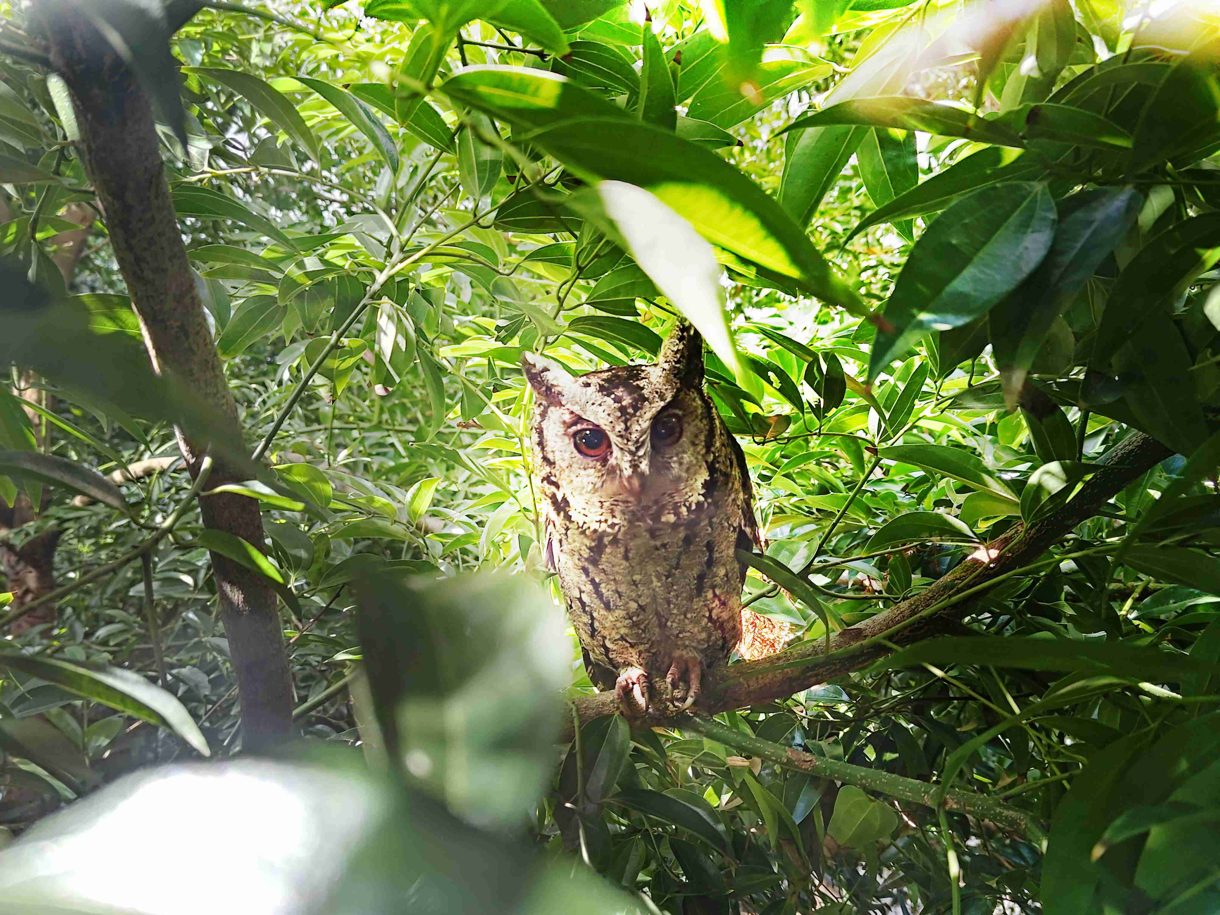 2468BET致力提倡净零绿生活，，，，16年以来在全球各厂区植树逾百万棵，，，造就各厂区树木蔚然成林，，，，犹如森林工厂，，成为许多生物的栖息地